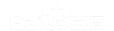 ��ʼAI�Ż�
